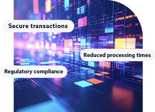 Customs Declaration Software: CUSTOMS via conex™