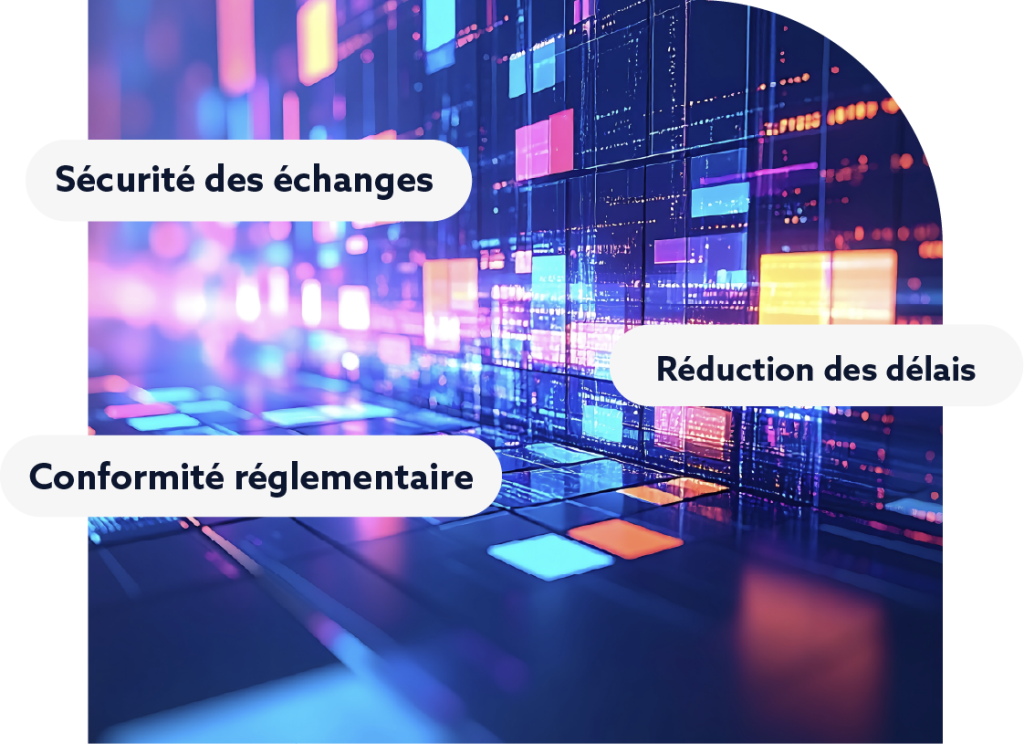 logiciel dédouanement Customs via conex™