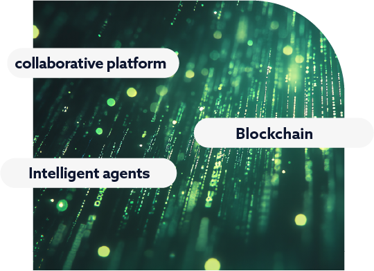 Customs collaborative platform: ZEN via conex™