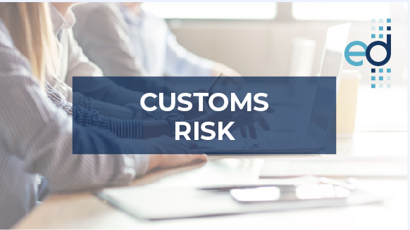 Customs risk management: control and litigation