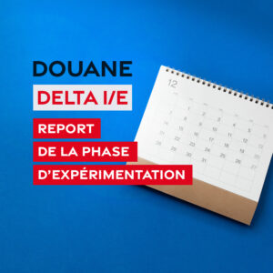 DELTA-IE-REPORT