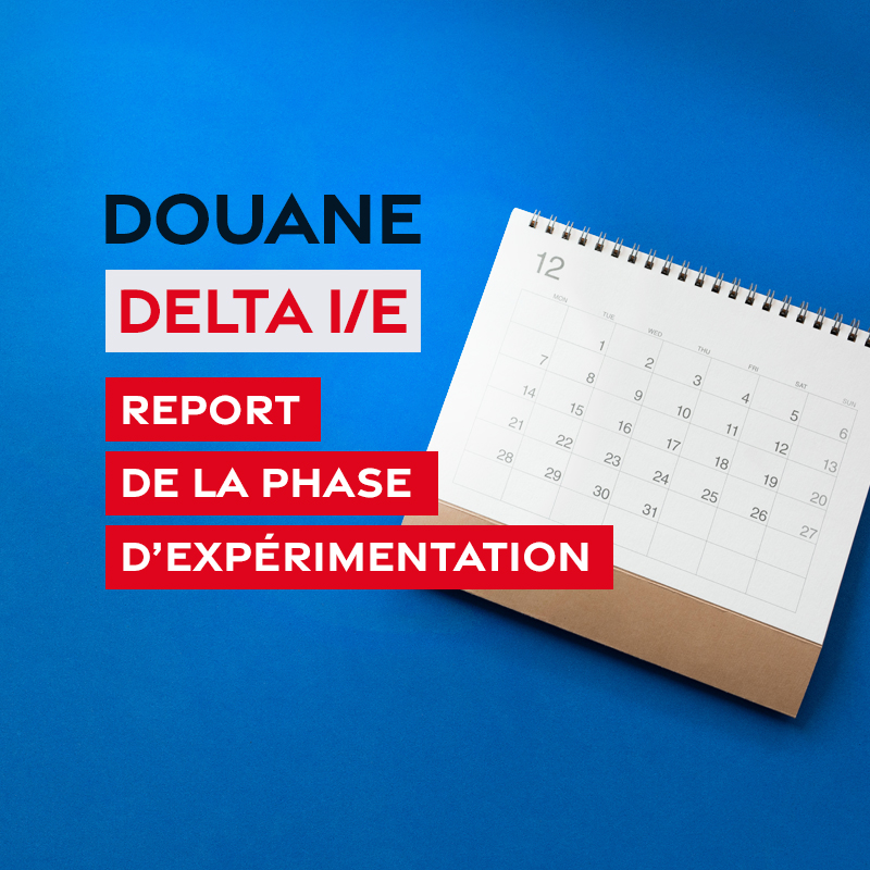 DELTA-IE-REPORT