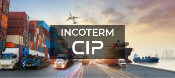 CIP 